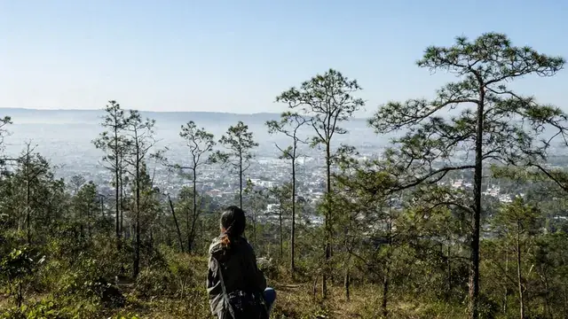 소나무와 호수가 보이는 서늘한 달랏 고원 풍경