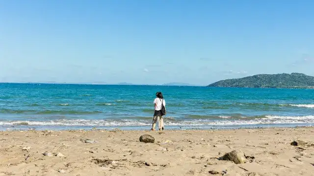 초승달 모양 해변과 바다가 보이는 퀴논 가족 여행